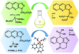 Synthesis Of Novel Pyrazolo 3 4 B Quinolinebisphosphonic Acids And An Unexpected Intramolecular Cyclization And Phosphonylation Reaction Organic Biomolecular Chemistry Rsc Publishing