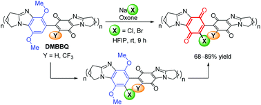 Ring Fused Dimethoxybenzimidazole Benzimidazolequinone Dmbbq Tunable Halogenation And Quinone Formation Using Nax Oxone Organic Biomolecular Chemistry Rsc Publishing