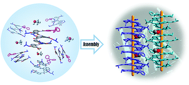 Assembly and optical properties of 1D helical bundles induced by ...