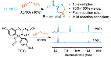 Ag I Catalyzed Rapid Access To 2 Amino 4 Methylenethiazolines With Potential Applications In Bioconjugation Chemistry Organic Biomolecular Chemistry Rsc Publishing