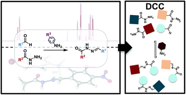 Nucleophilic catalysis of p-substituted aniline derivatives in ...