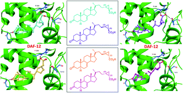 Synthesis Repertorium opathicum … Synthesis: repertorium homeopathicum syntheticum - Google Books