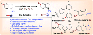 Predictable site selective functionalization Promoter group