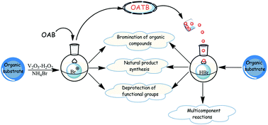 How Is Substrate Halogenation Triggered by the Vanadium