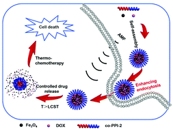 Fabrication Of Thermoresponsive Magnetic Micelles From Amphiphilic Poly Phenyl Isocyanide And Fe3o4 Nanoparticles For Controlled Drug Release And Synergistic Thermochemotherapy Polymer Chemistry Rsc Publishing