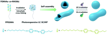 The Self Assembly Of Single Chain Janus Nanoparticles From Azobenzene Containing Block Copolymers And Reversible Photoinduced Morphology Transitions Polymer Chemistry Rsc Publishing