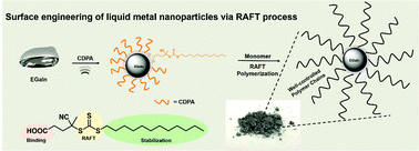 Functionalization Of Liquid Metal Nanoparticles Via The Raft Process Polymer Chemistry Rsc Publishing