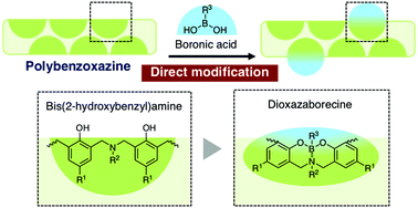Post Polymerization Modification Of Polybenzoxazines With Boronic Acids Supported By B N Interactions Polymer Chemistry Rsc Publishing