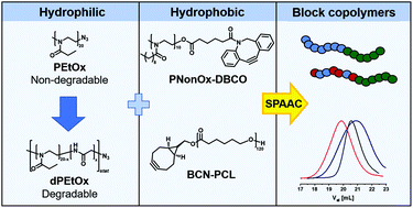 Block copolymers comprising degradable poly(2-ethyl-2-oxazoline) analogues  via copper-free click chemistry - Polymer Chemistry (RSC Publishing)