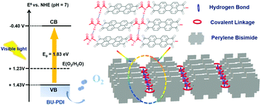 Interlayer hydrogen bond-assisted poly(perylene diimide) photocatalysts ...