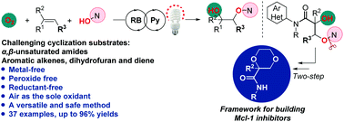 Visible Light Induced Aerobic Dioxygenation Of A B Unsaturated Amides Alkenes Toward Selective Synthesis Of B Oxy Alcohols Using Rose Bengal As A Photosensitizer Organic Chemistry Frontiers Rsc Publishing