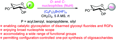 C6f5 3b Hf N Catalyzed Glycosylation Of Disarmed Glycosyl Fluorides And Reverse Glycosyl Fluorides Organic Chemistry Frontiers Rsc Publishing