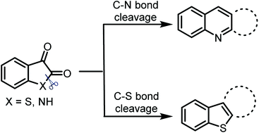 Recent Advances In Cyclization Reactions Of Isatins Or Thioisatins Via C N Or C S Bond Cleavage Organic Chemistry Frontiers Rsc Publishing
