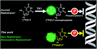 Synthesis And Evaluation Of 3 18f Fluorothymidine 5 Squaryl As A Bioisostere Of 3 18f Fluorothymidine 5 Monophosphate Rsc Advances Rsc Publishing