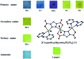 Sonochemical Synthesis Of A Trinuclear Cu Ii Complex With Open Coordination Sites For The Differentiable Optical Detection Of Volatile Amines Rsc Advances Rsc Publishing