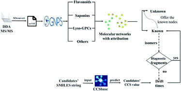 An Integrated Approach For Structural Characterization Of Gui Ling Ji By Traveling Wave Ion Mobility Mass Spectrometry And Molecular Network Rsc Advances Rsc Publishing