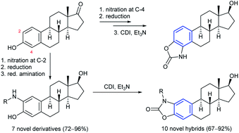 Synthesis And Conversion Of Primary And Secondary 2 Aminoestradiols Into A Ring Integrated Benzoxazolone Hybrids And Their In Vitro Anticancer Activity Rsc Advances Rsc Publishing