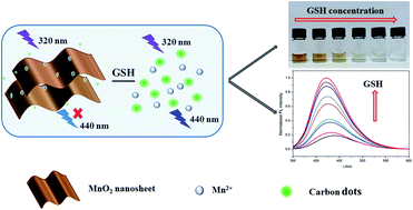 An ultrasensitive colorimetric and fluorescence dual-readout assay for  glutathione with a carbon dotMnO2 nanosheet platform based on the inner  filter effect - RSC Advances (RSC Publishing)