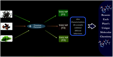 Rapid green-synthesis of TiO2 nanoparticles for therapeutic ...
