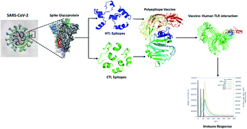 Design of a multi-epitope vaccine against SARS-CoV-2 