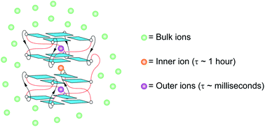 Unprecedented Hour Long Residence Time Of A Cation In A Left Handed G Quadruplex Chemical Science Rsc Publishing