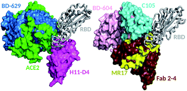 Prediction And Mitigation Of Mutation Threats To Covid 19 Vaccines And Antibody Therapies Chemical Science Rsc Publishing