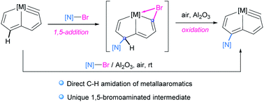 Direct Amidation Of Metallaaromatics Access To N Functionalized Osmapentalynes Via A 1 5 Bromoamidated Intermediate Chemical Science Rsc Publishing