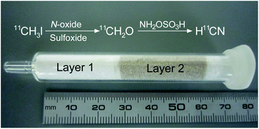 Rapid ‘on-column’ preparation of hydrogen [11C]cyanide from [11C]methyl ...