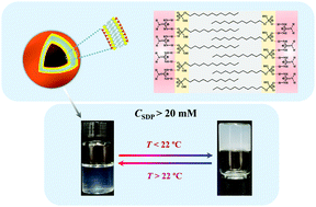 Spontaneous Vesicle Formation And Vesicle To A Gel Transition In Aqueous Mixtures Of Sodium Monododecylphosphate And Guanidinium Salts Soft Matter Rsc Publishing