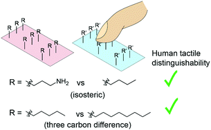 Predicting Human Touch Sensitivity To Single Atom Substitutions In Surface Monolayers For Molecular Control In Tactile Interfaces Soft Matter Rsc Publishing