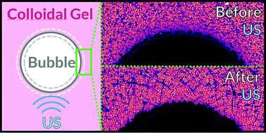 Tuning local microstructure of colloidal gels by ultrasound-activated ...