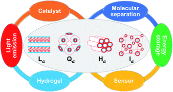 語学・辞書・学習参考書 The Physics of Lyotropic Liquid Crystals Lyotropic Liquid Crystals | SpringerLink
