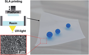 Facile fabrication of micro-/nanostructured, superhydrophobic membranes ...