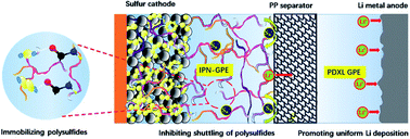 In situ forming asymmetric bi-functional gel polymer electrolyte in ...