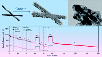 Superior Rate Capability And Long Lifespan Carbon Nanotube In Nanotube Sb2s3 Anode For Lithium Ion Storage Journal Of Materials Chemistry A Rsc Publishing