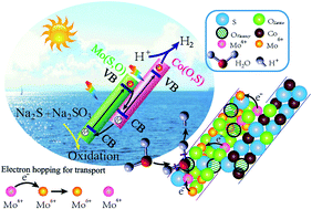 A molybdenum sulfo-oxide/cobalt oxysulfide Z-scheme heterojunction ...