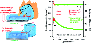 High strength hydrogels enable dendrite-free Zn metal anodes and high ...