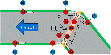 The growth mechanism of lithium dendrites and its coupling to mechanical  stress - Journal of Materials Chemistry A (RSC Publishing)