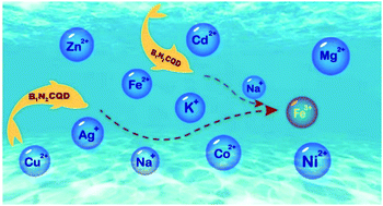 Highly Fluorescent Nitrogen And Boron Doped Carbon Quantum Dots For Selective And Sensitive Detection Of Fe3 Journal Of Materials Chemistry B Rsc Publishing