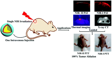 A Zwitterionic Polypeptide Nanocomposite With Unique Nir I Ii Photoacoustic Imaging For Nir I Ii Cancer Photothermal Therapy Journal Of Materials Chemistry B Rsc Publishing