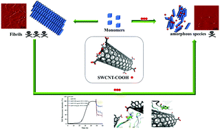 Design of carboxylated single-walled carbon nanotubes as highly ...