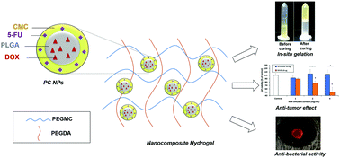 Synthesis and Characterization of Novel pH-Responsive Microgels