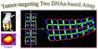 Tumor-targeting [2]catenane-based grid-patterned periodic DNA monolayer array for in vivo theranostic application