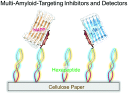 Conformational-specific self-assembled peptides as dual-mode, multi ...