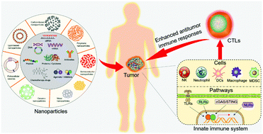Targeting The Innate Immune System With Nanoparticles For Cancer  Immunotherapy - Journal Of Materials Chemistry B (Rsc Publishing)