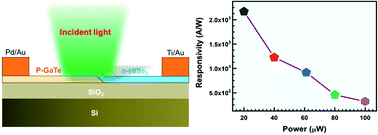 Fast And High Photoresponsivity Gallium Telluride Hafnium Selenide Van Der Waals Heterostructure Photodiode Journal Of Materials Chemistry C Rsc Publishing