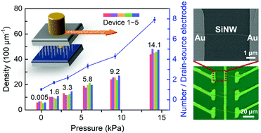 Direct mechano-sliding transfer of chemical vapor deposition grown