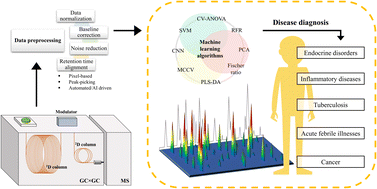 Gas Chromatography Mass Spectrometry Diagram image.