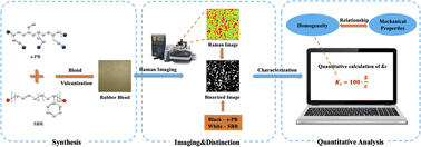 Quantitative analysis of s-PB/SBR blend dispersion morphology using ...