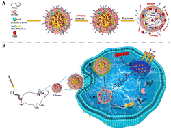 A hypoxia-dissociable siRNA nanoplatform for synergistically enhanced ...